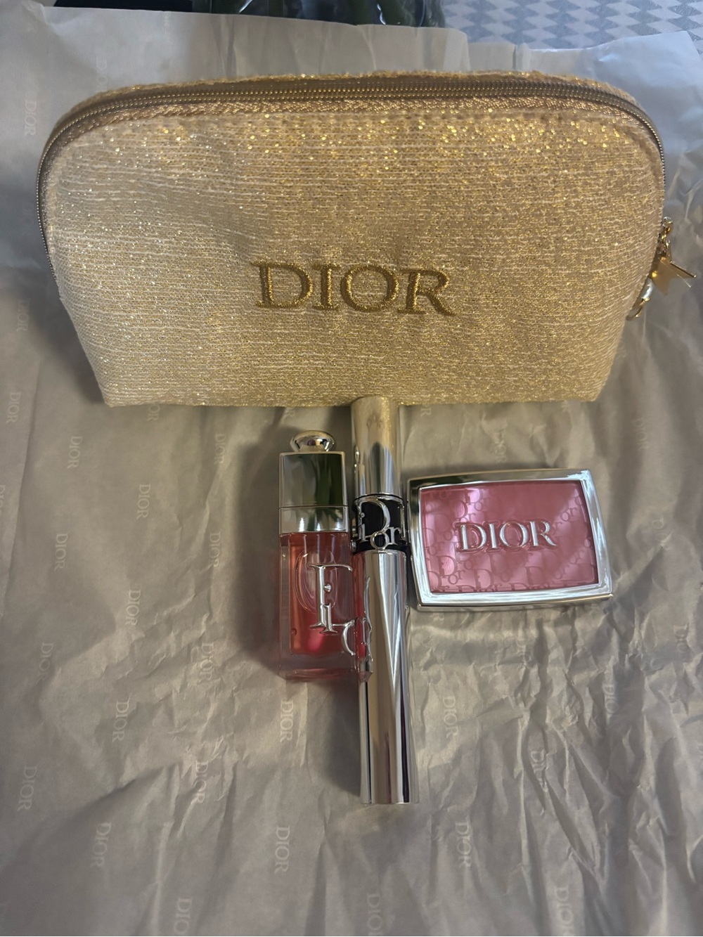 Dior Gold Pouch with Pink Blush & Sheer Pink Lip Gloss